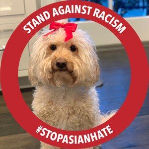 Meet your Posher, Dora